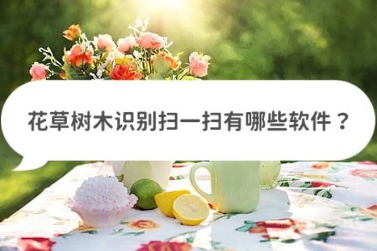 花草识别扫一扫软件下载,扫描识别花草树木app免费