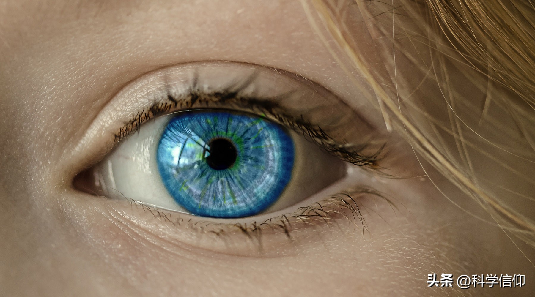 老花镜防蓝光和不防蓝光有何区别,防蓝光眼镜和防蓝光膜哪个更有效