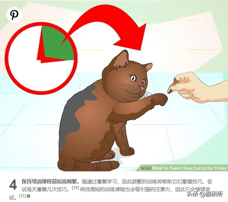 当你亲吻猫咪时它在想什么,情侣亲吻猫咪在想什么