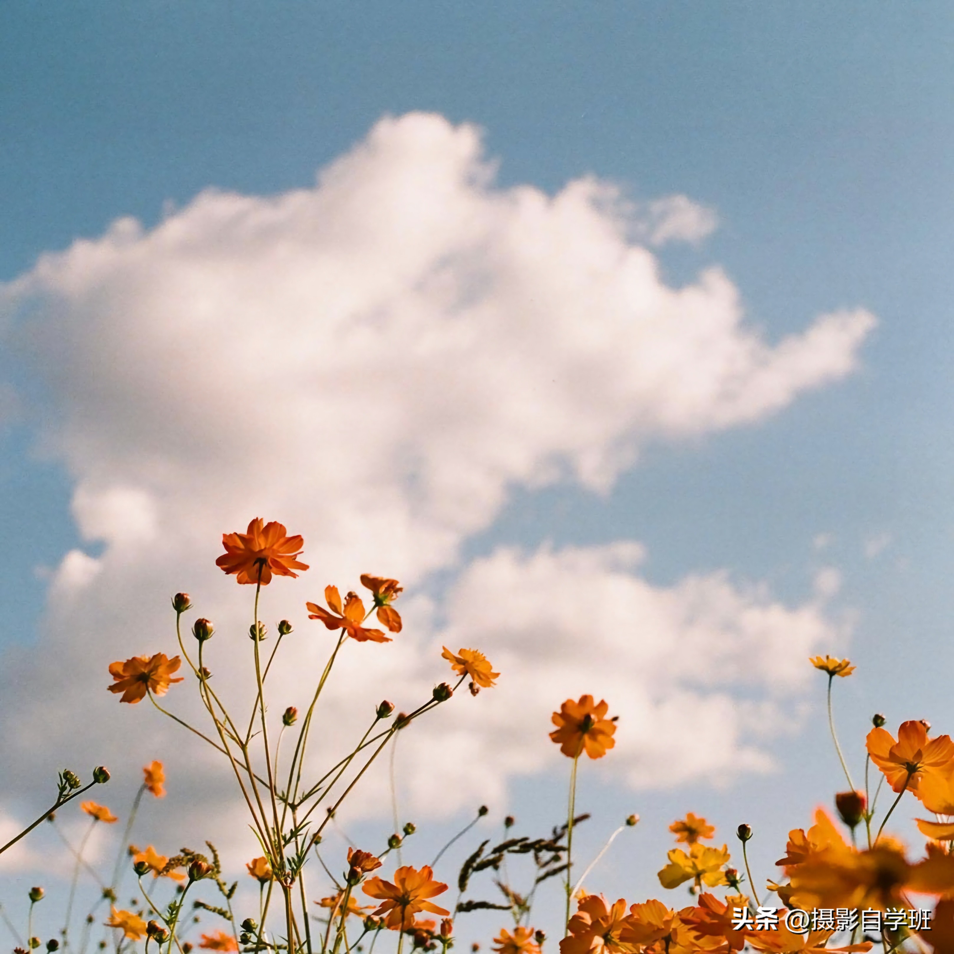 拍风景照片的摄影技巧,风景摄影入门初学者拍照技巧