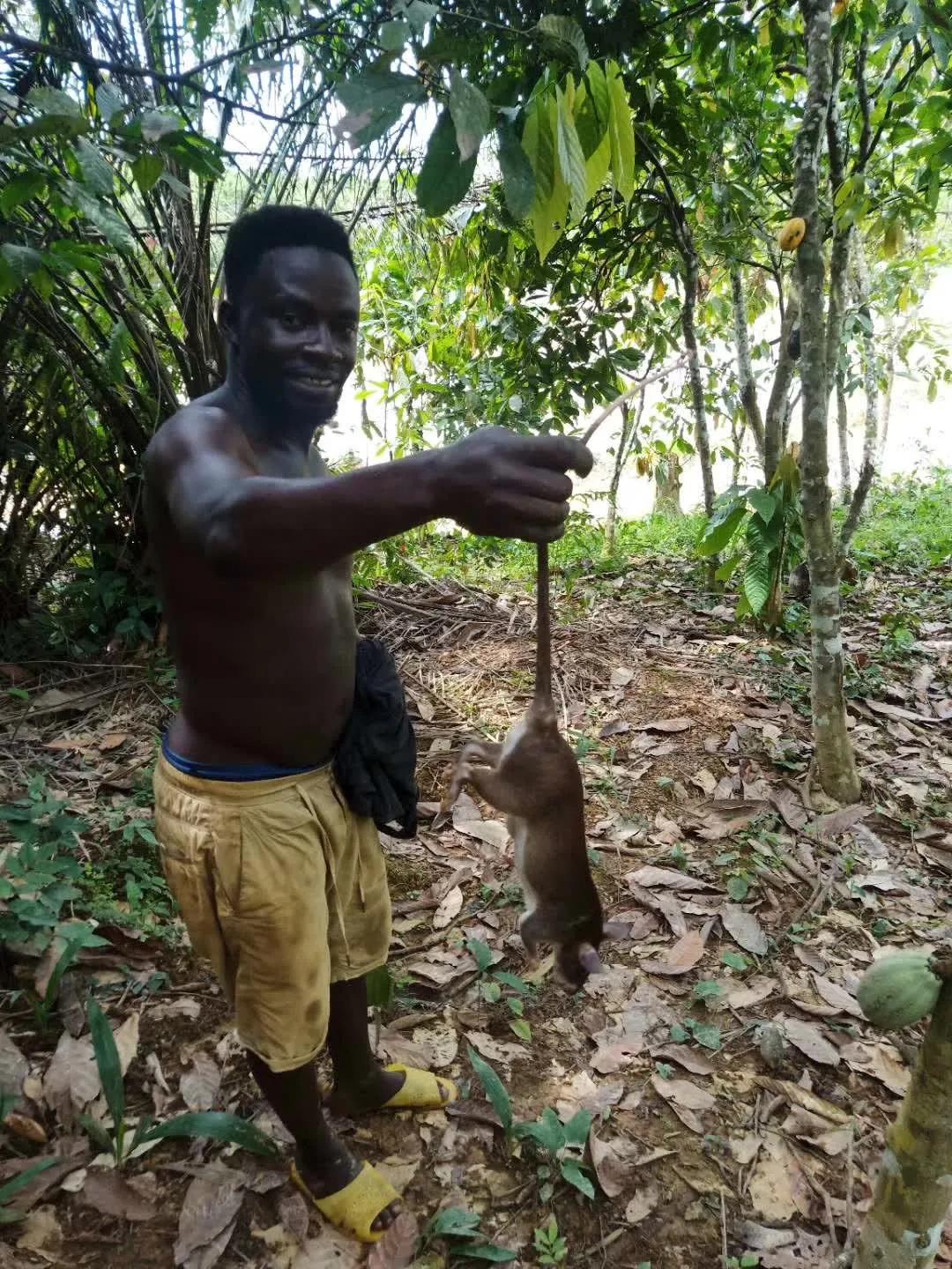 我表哥,去非洲淘金10年赚了1600万,去年在省城买了三套大房子!