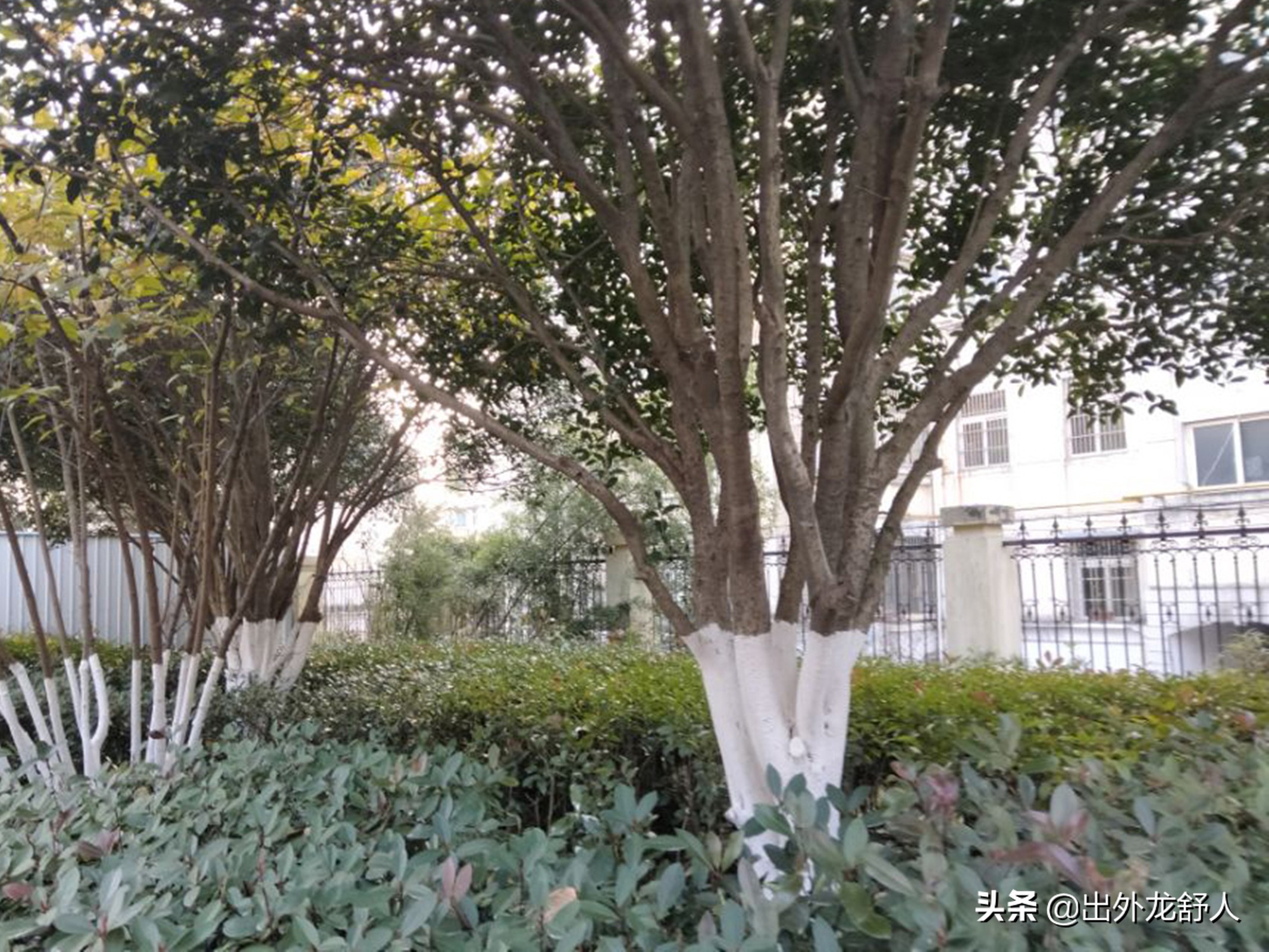 安徽舒城:“三八”水电站开闸,放映黄梅戏电影《天仙配》