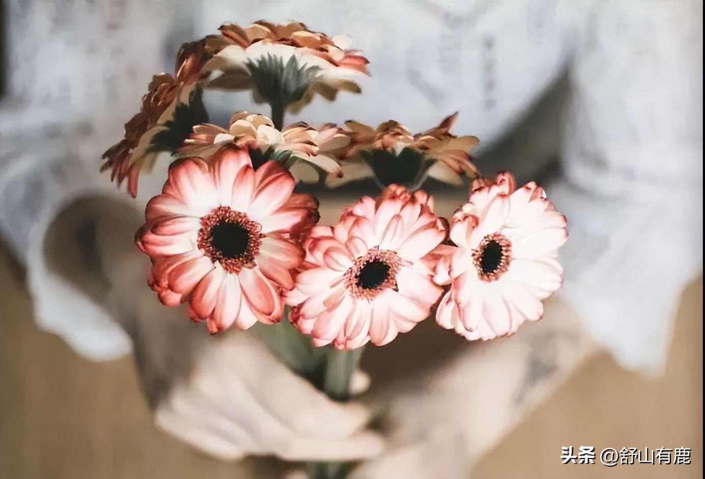 心术不正的人身上的四个特征,心术不正的人身上会有这六个特征