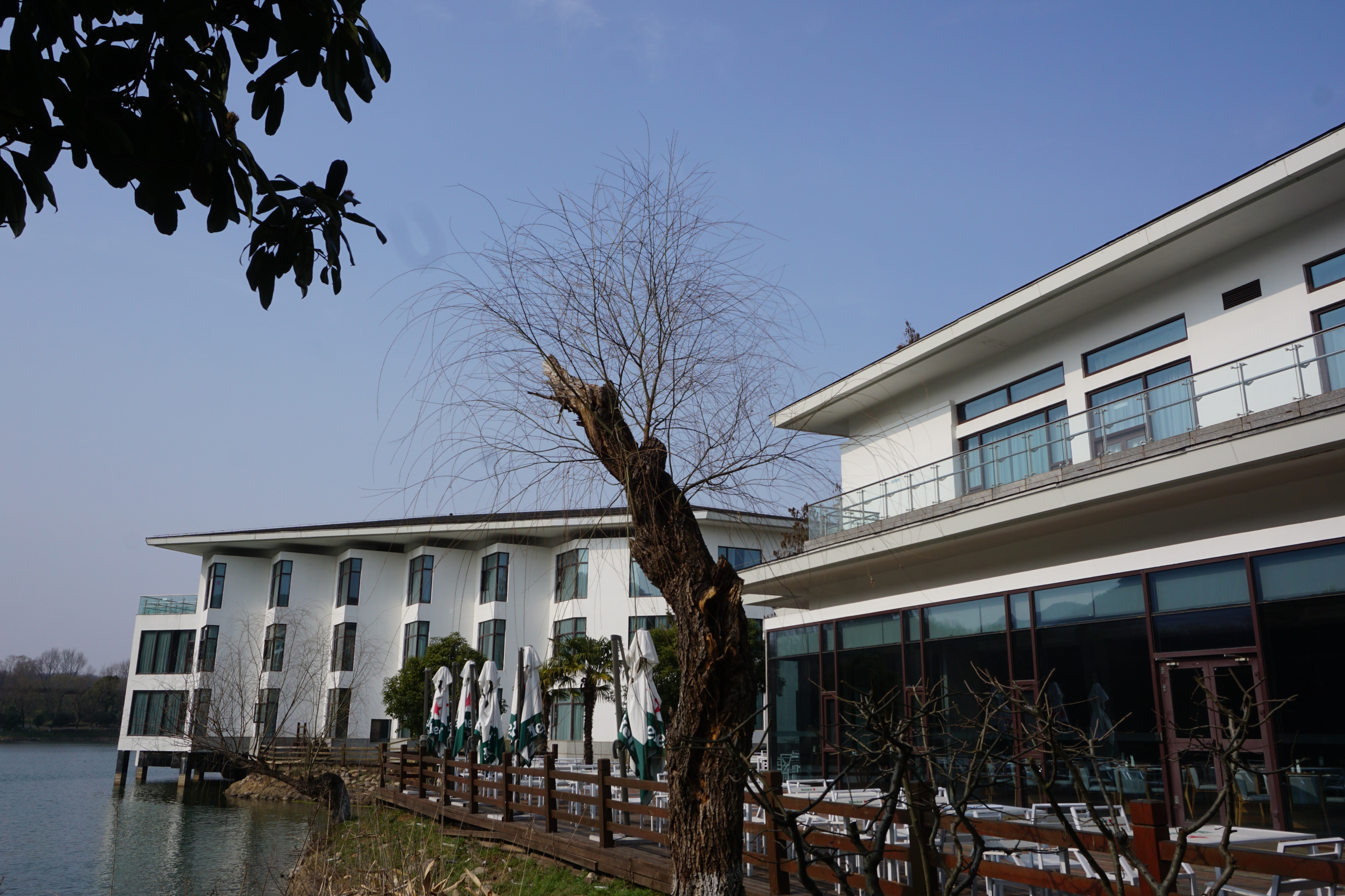 南京人看杭州,南京紫金山庄在哪里