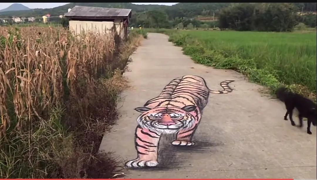 3D画让我对这个世界的真实性产生了怀疑，眼见为实未必是真的