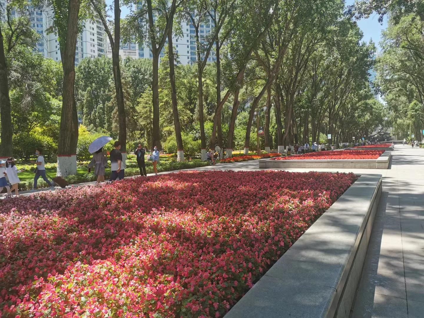 西宁印象旅行社,西宁印象摄影工作室