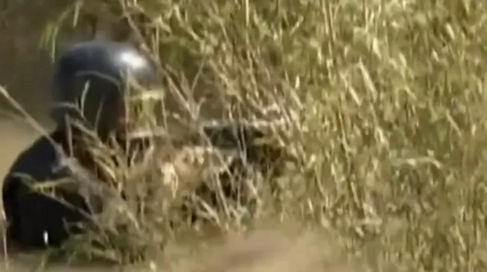 最猖狂的悍匪,黑龙江十大悍匪排行榜