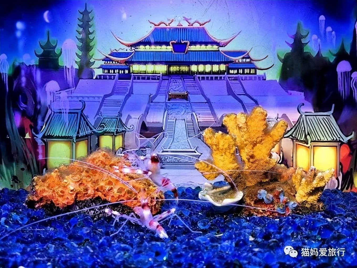 青岛过年遛娃好去处,青岛遛娃圣地