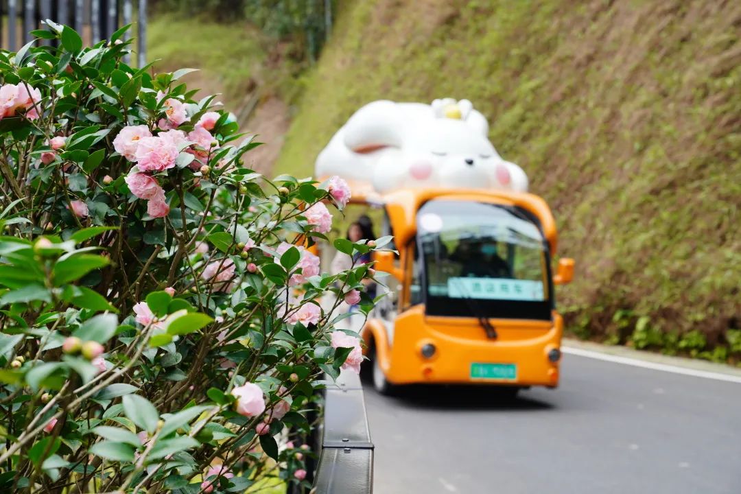 新春攻略生肖派对,新年怎么玩好玩