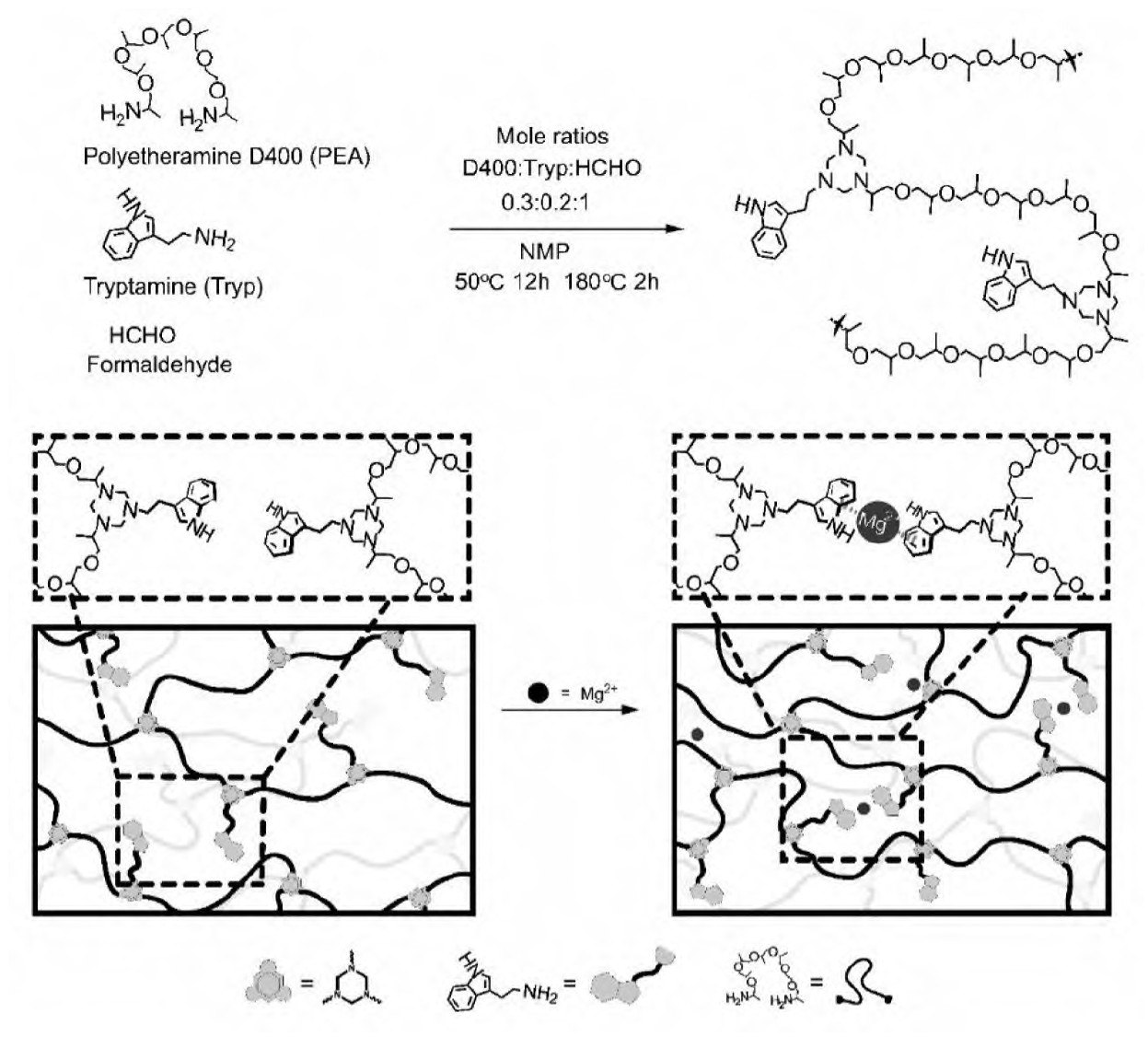 基于动态Mg2+-吲哚，可修复可回收聚六氢三嗪薄膜的制备性能如何