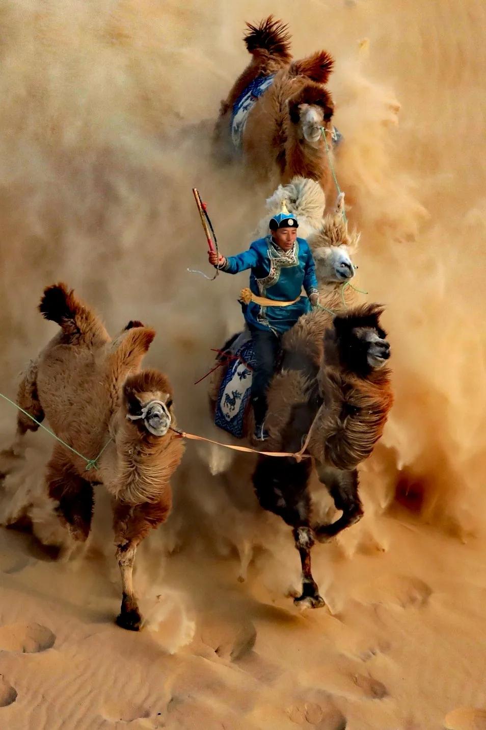 奈曼沙漠酒店,奈曼沙漠和库伦沙漠哪个好