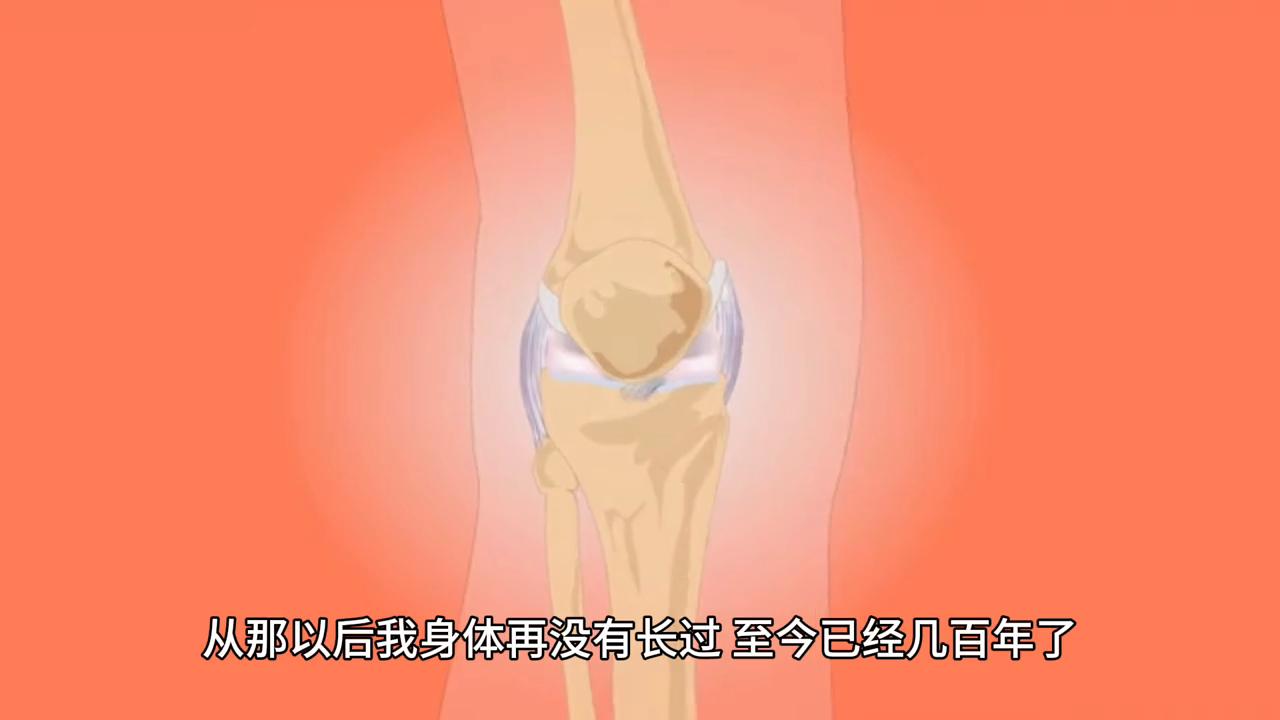 奇幻小说免费阅读,奇幻小说