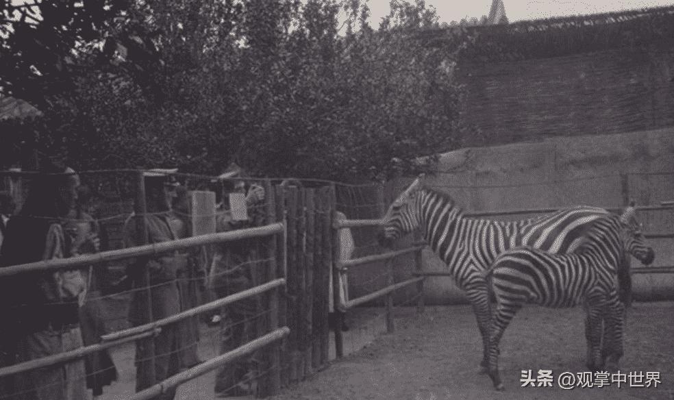 日本731部队“女体实验”,“母爱实验”,丧心病狂超乎人类极限