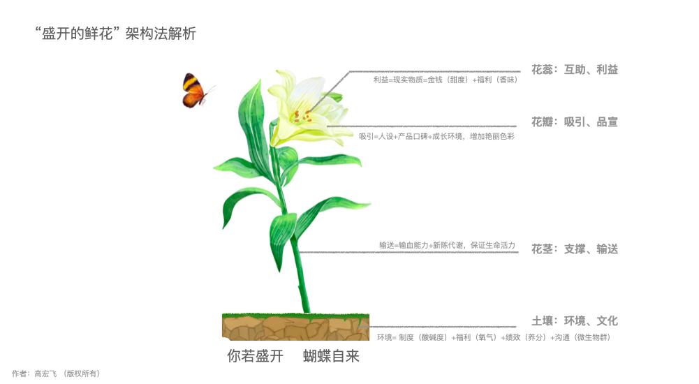 “盛开的鲜花”模型——应用心法（3）