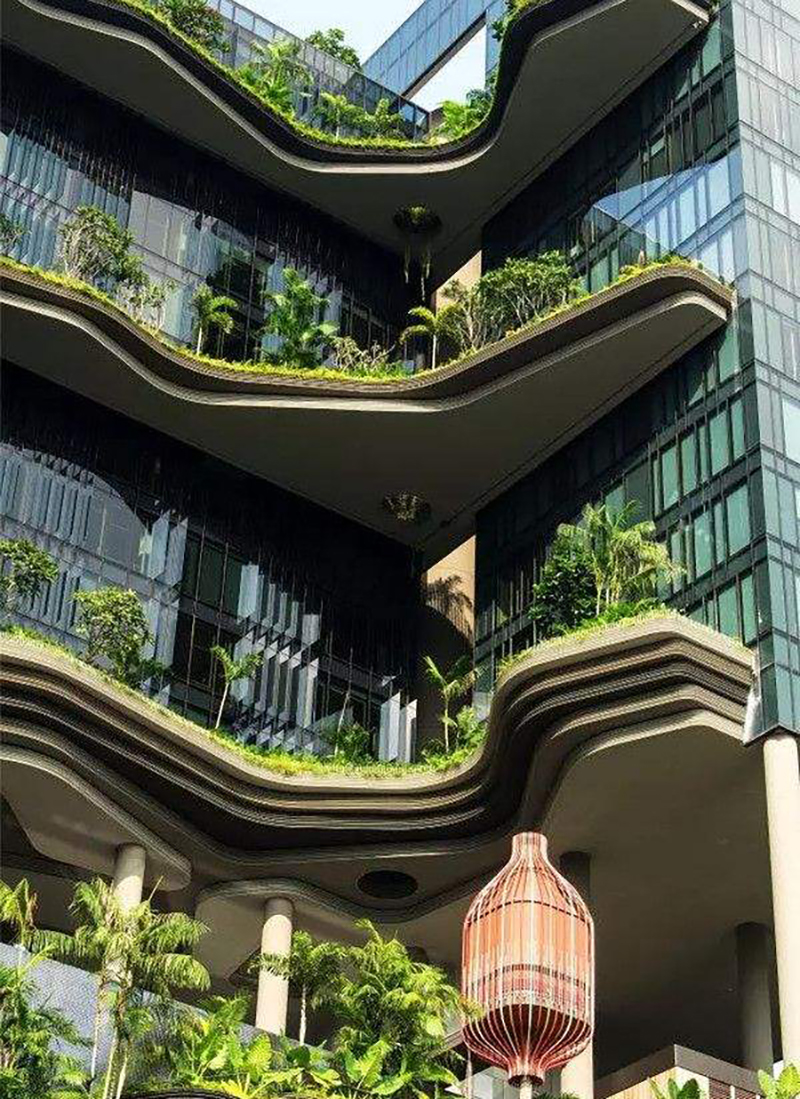 新加坡人说新加坡生活真实状况,关于新加坡的十个事实