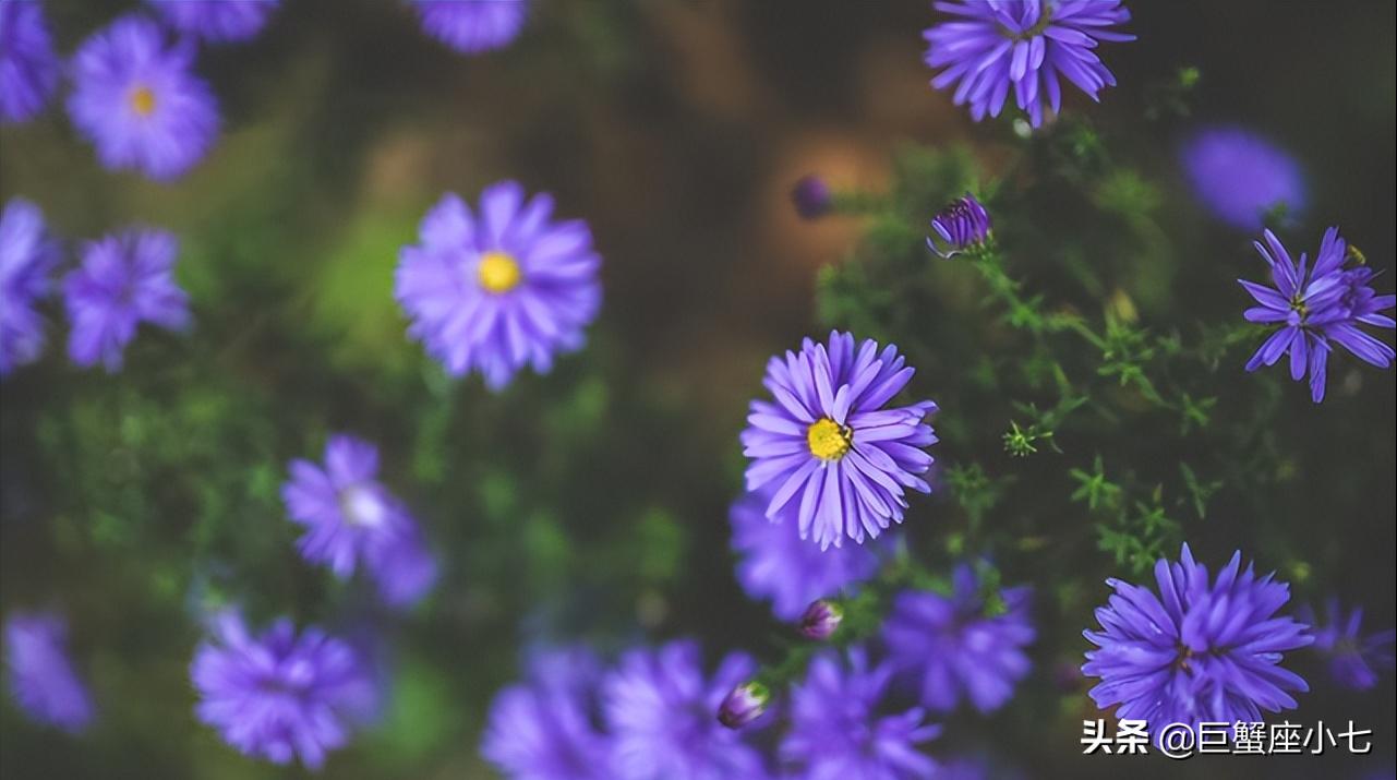 被动理智慢热的星座男,越爱你越忽冷忽热的星座男