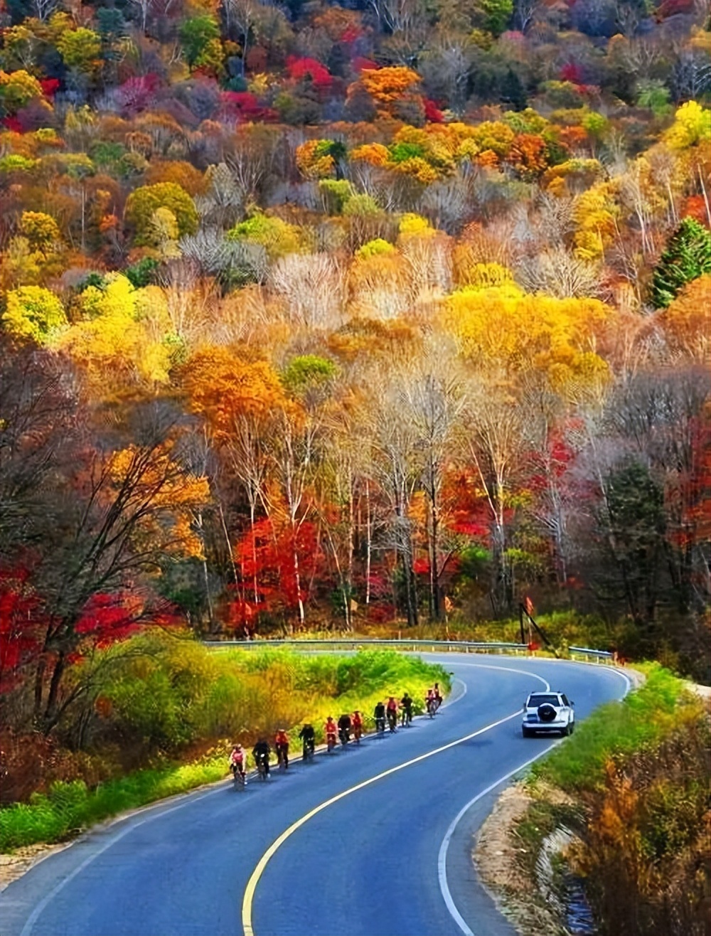 长白山的秋季,长白山夏天和秋天的区别