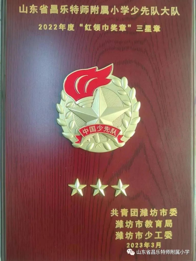 红领巾奖章三星奖章个人风采介绍,红领巾三星奖章队员事迹介绍