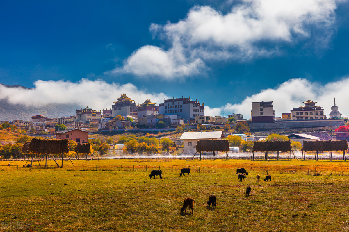 云南香格里拉旅游攻略自由行攻略,云南香格里拉自由行旅游攻略大全