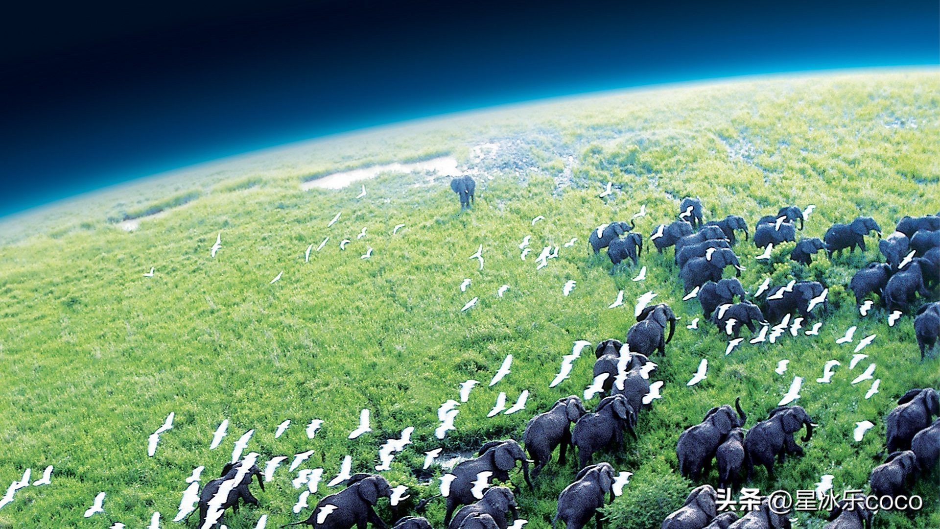 推荐8部bbc神级高分纪录片,bbc十部顶级纪录片下载