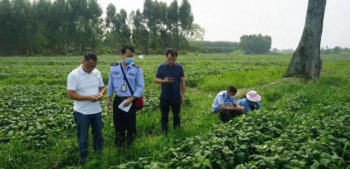 农村收物业管理费是国家规定吗,农村收取的物业管理费