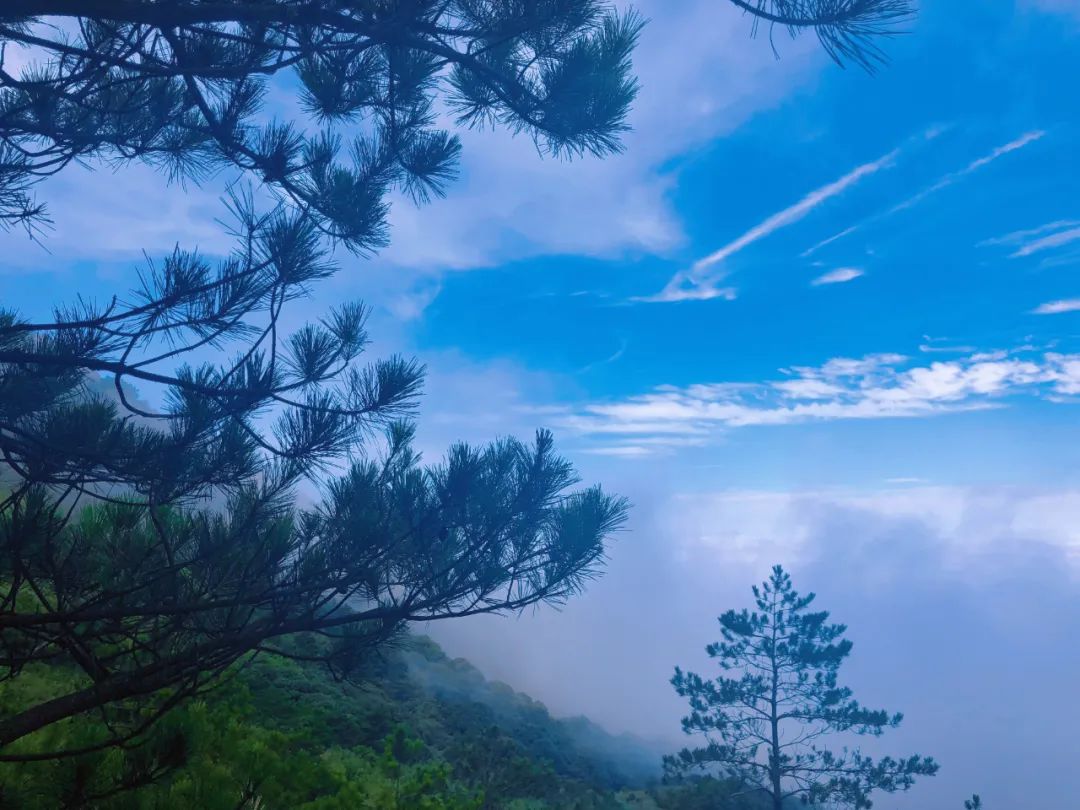 打包票，这座城市你去了一次就会爱上...