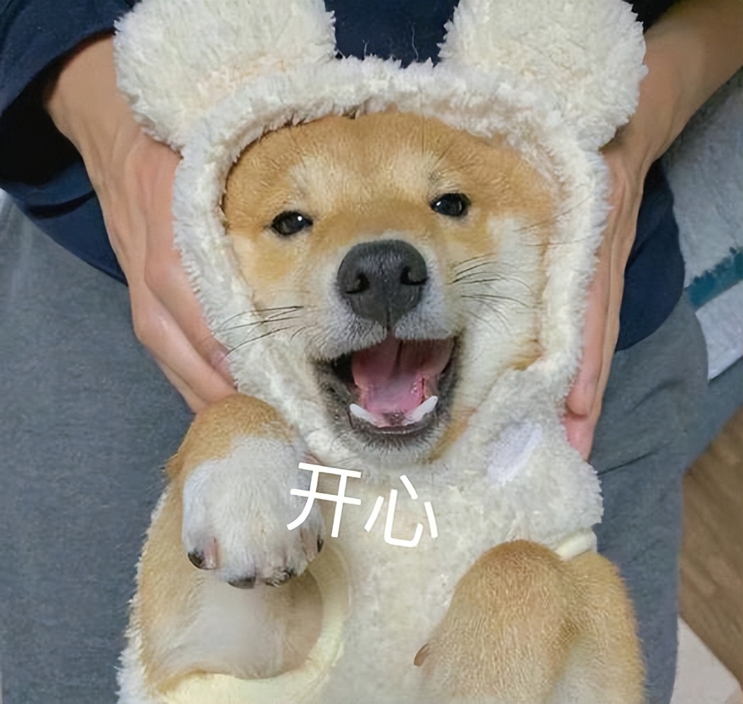 你认识多少种极具攻击性的狗,这3种狗很可怕有钱都不建议养