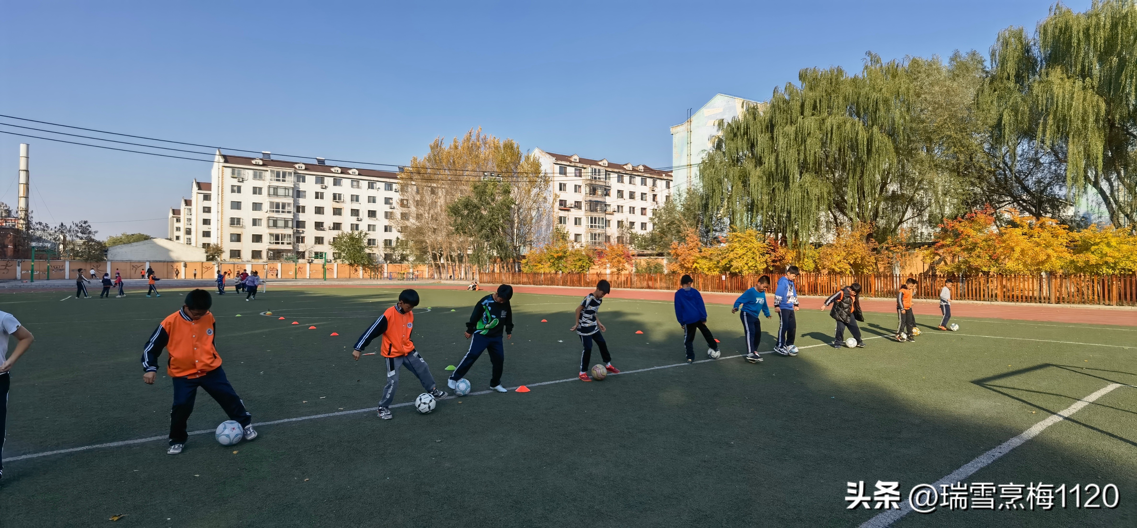 新城子街第一小学喜报,新城子街第一小学2017年