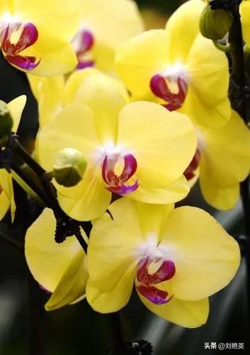 鎯呯悊鍑鸿嚜鍝噷,鎯呯悊浣曞湪