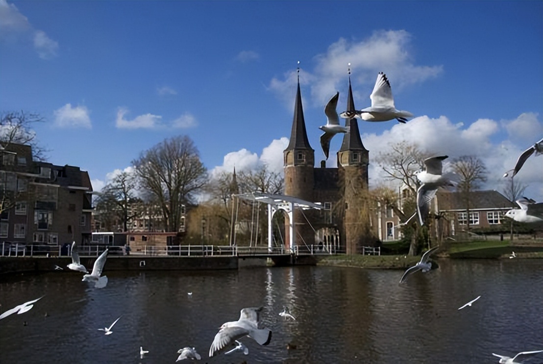 荷兰现在还限制入境吗,荷兰有没有禁止俄罗斯航班