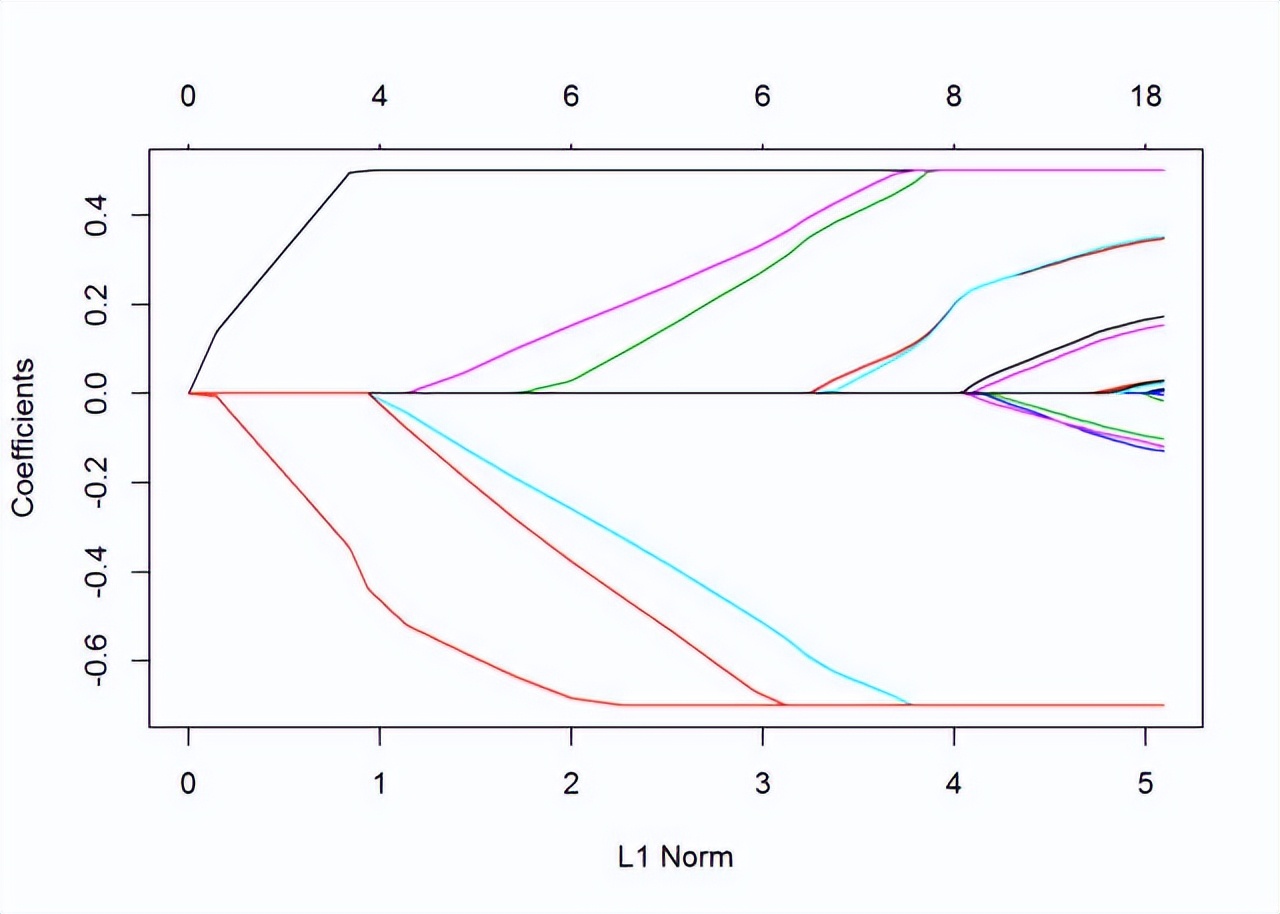 宠物狗容易出现的几种病况,宠物狗最容易得什么疾病
