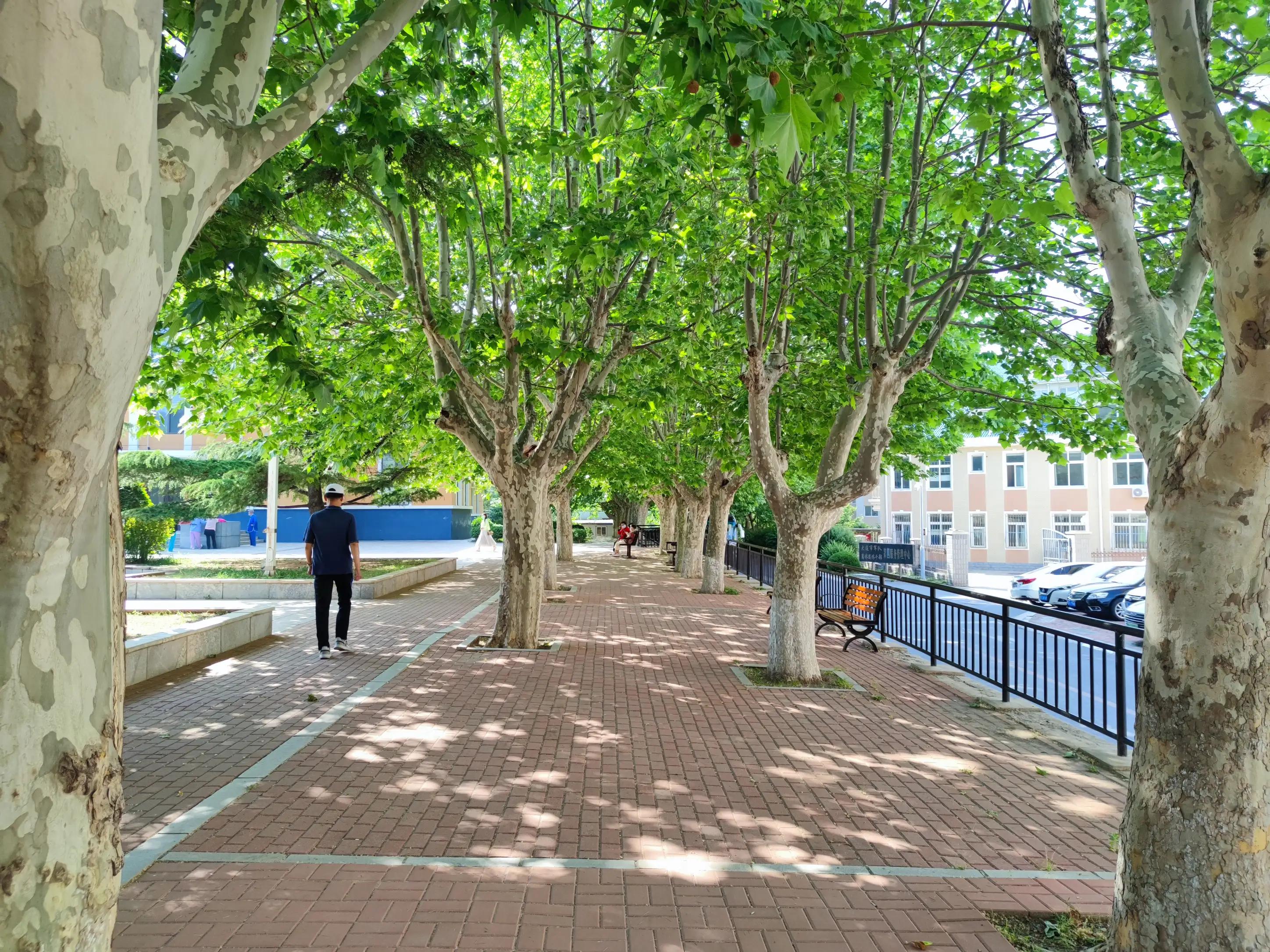 明日芒种吃什么最好,明日入伏不做六件事