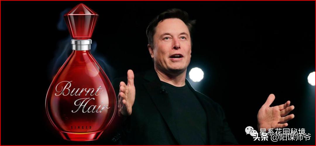 马斯克没有钱之前做什么,马斯克再次带货