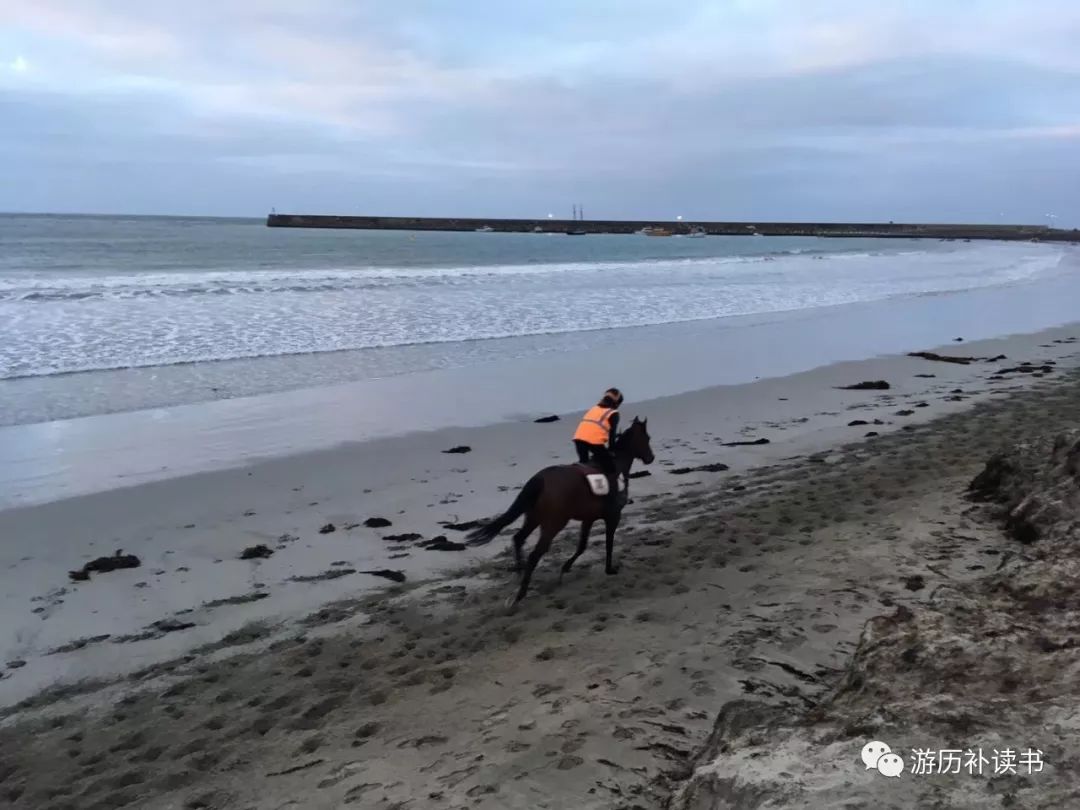 澳大利亚印象(代小结)——澳大利亚行记7