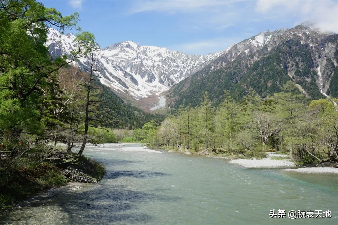 冠蓝狮在日本和国内售价对比,冠蓝狮新品2023