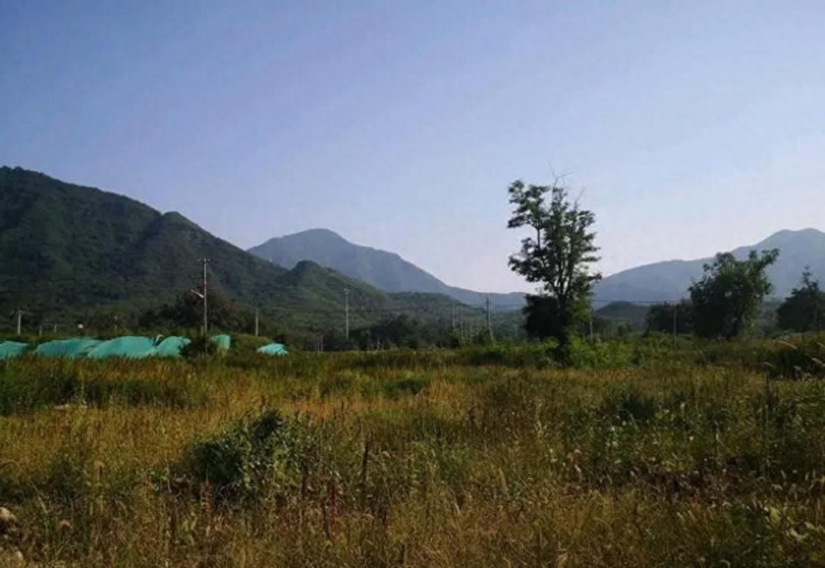 辽宁驾校女教练猥亵男生，致其*体下**受伤！