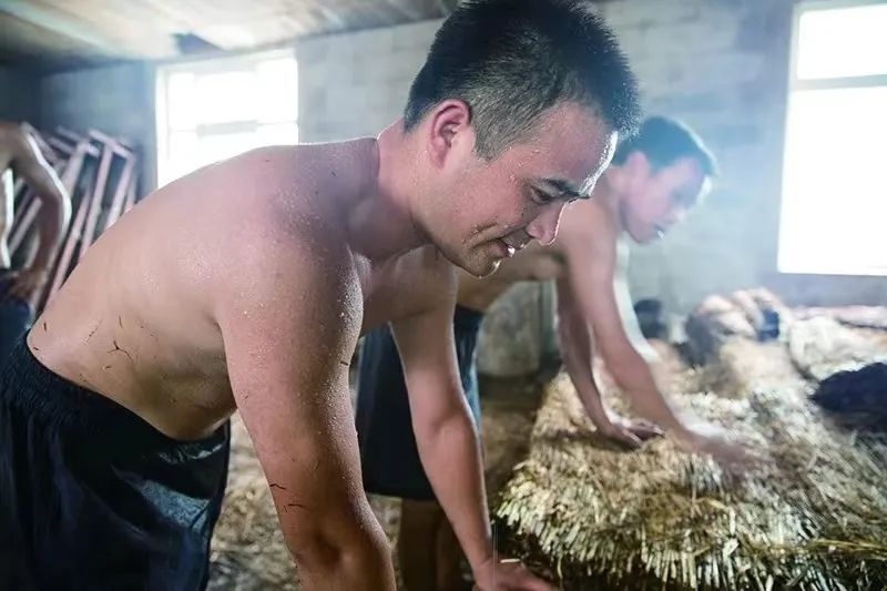 桃花春曲是什么意思,桃花春曲