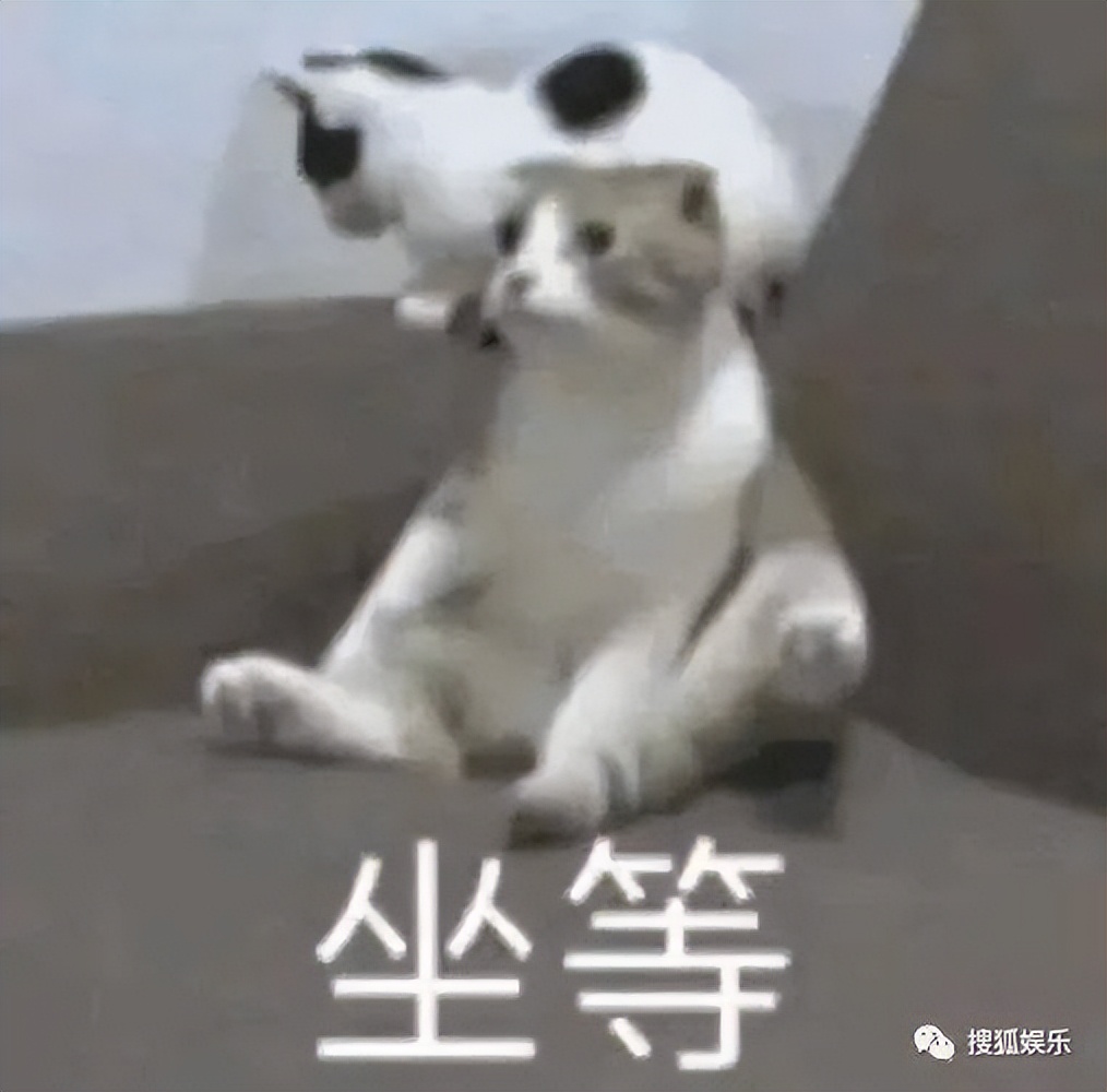 第三届金鹰奖,第三届金鹰女神视频