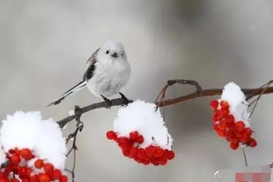 药物服务与咨询,药物咨询