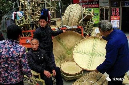 春天的寻找,新年的期许