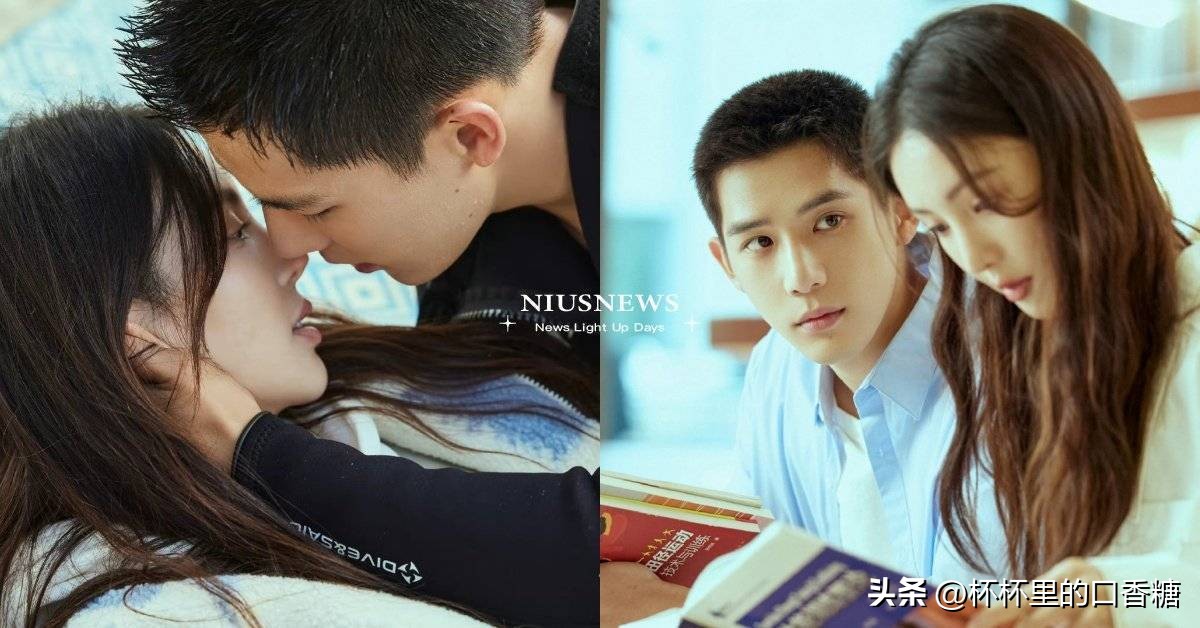 炽道王安宇和金晨引体向上,炽道王安宇和金晨在一起