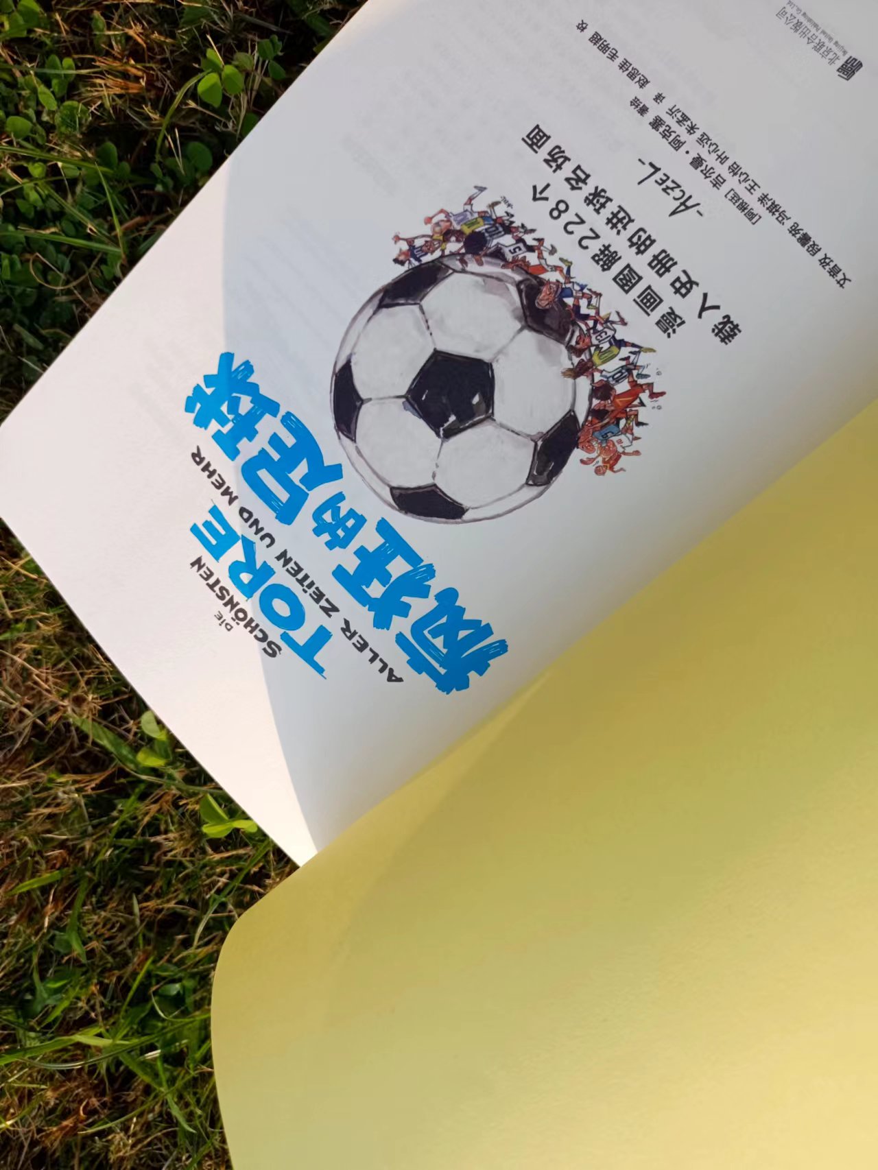 疯狂的足球搞笑集锦2014,疯狂的足球盘点足坛进球名场面