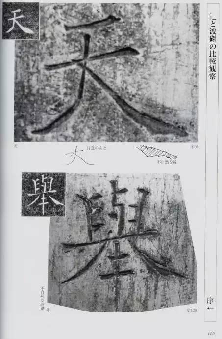 宸ョ瑪鐢绘潹鏅箟鐢诲唽,鏉滈箖鏉ㄦ櫘涔夊畬鏁寸増