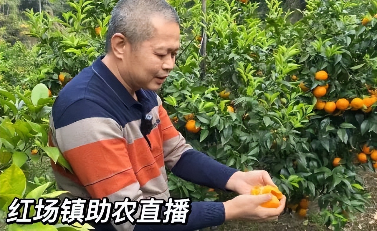 「上级媒体报道」“和美侨乡”潮南探村直播看点大剧透！一周三场，不容错过