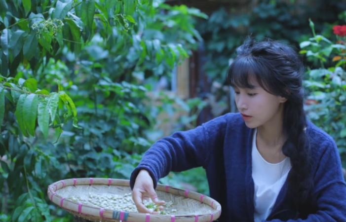 李子柒视频最新外网评论,李子柒最新视频外网评论