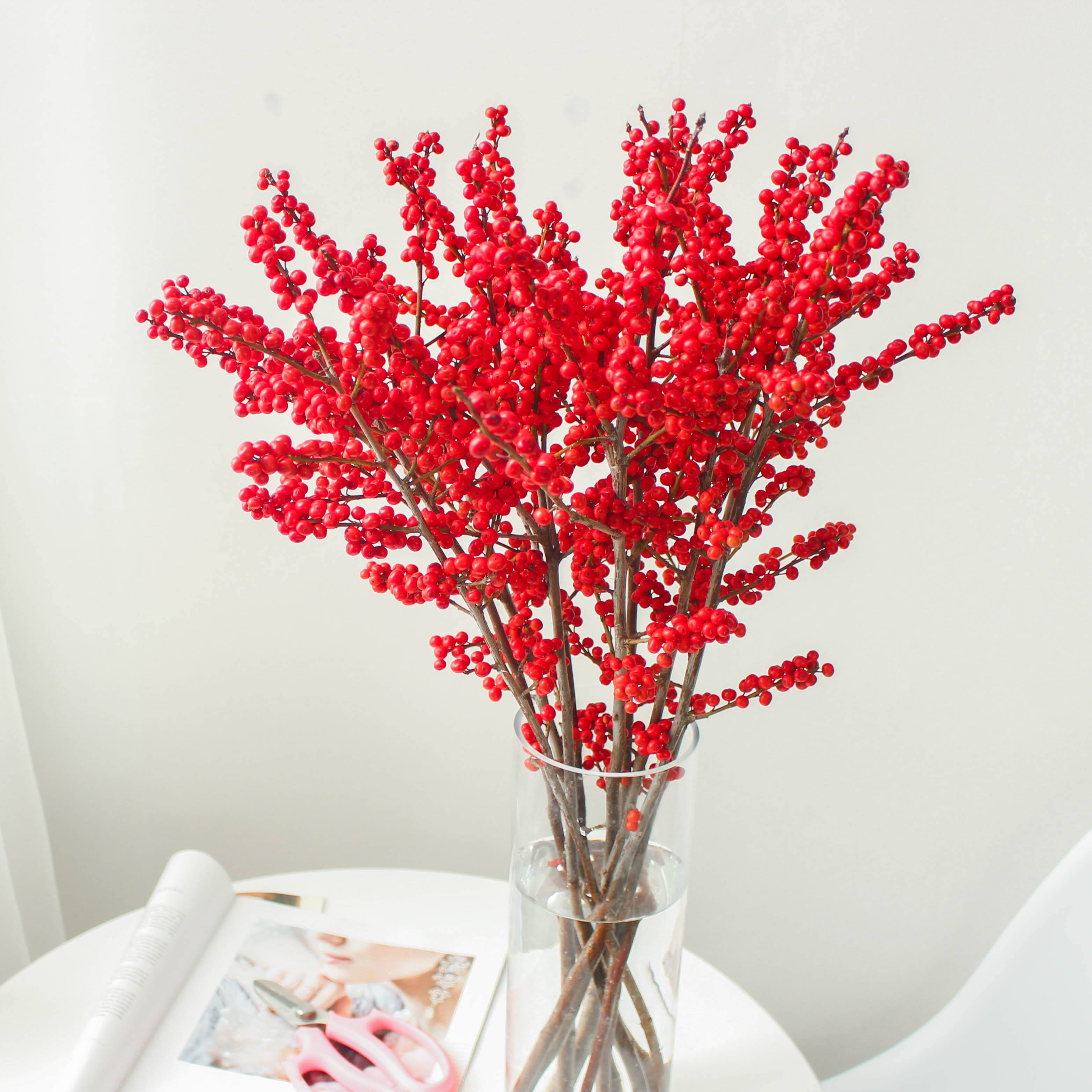 什么花最好养又贵又漂亮,十种越养越值钱的神奇之花