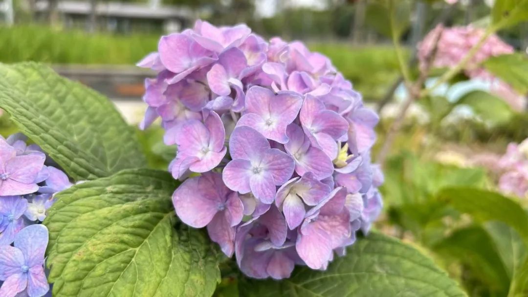 一个男人爱不爱你从细节看得出来,从吃饭看出男人对你爱不爱的表现