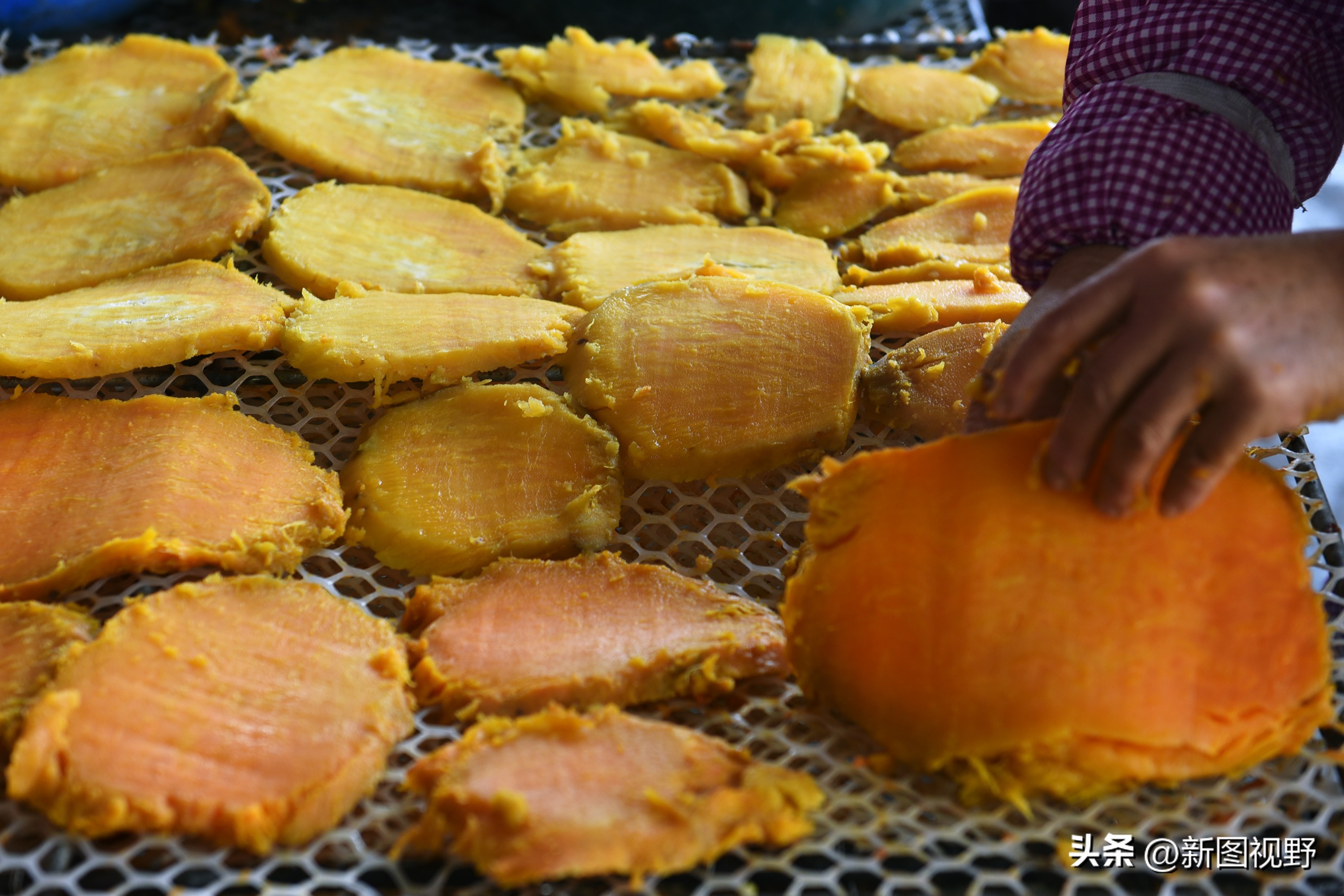 农村大姐靠什么赚钱,43岁农村大姐一天挣90元