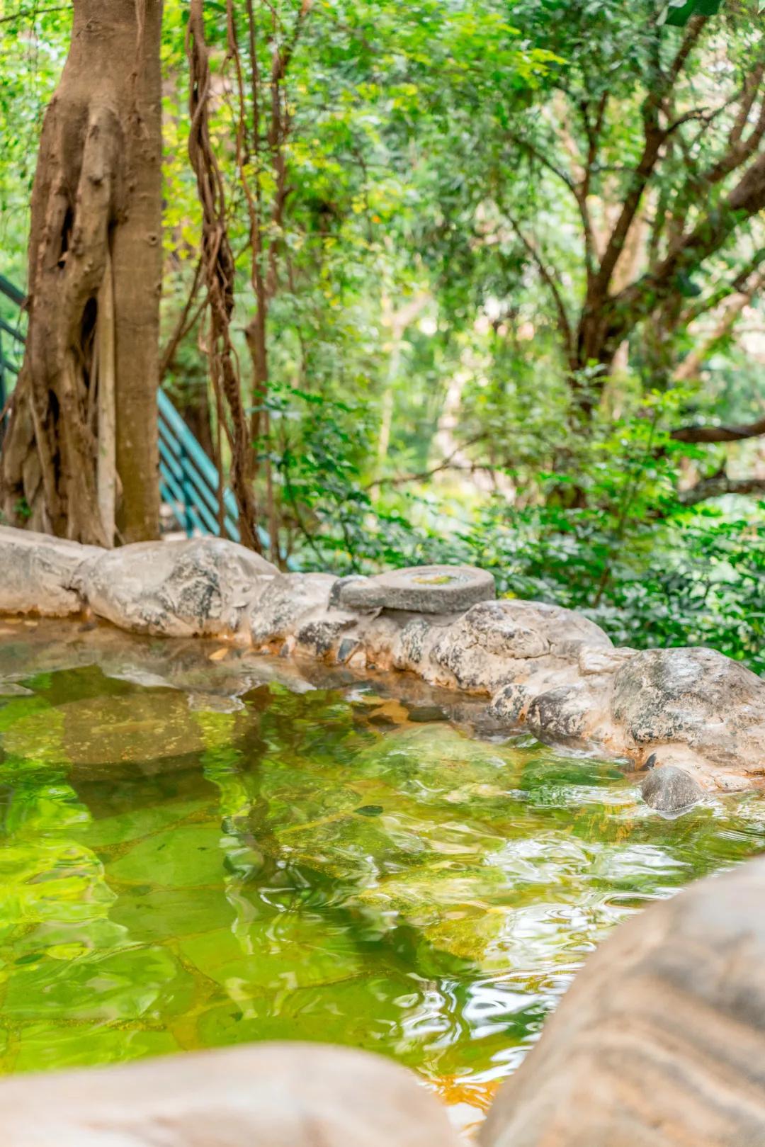 云南天下第一汤温泉,云南藏起来的人间仙境