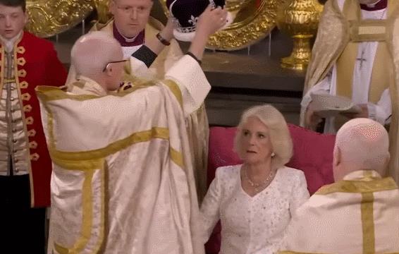 卡米拉出尽风头,卡米拉靠什么被女王认可